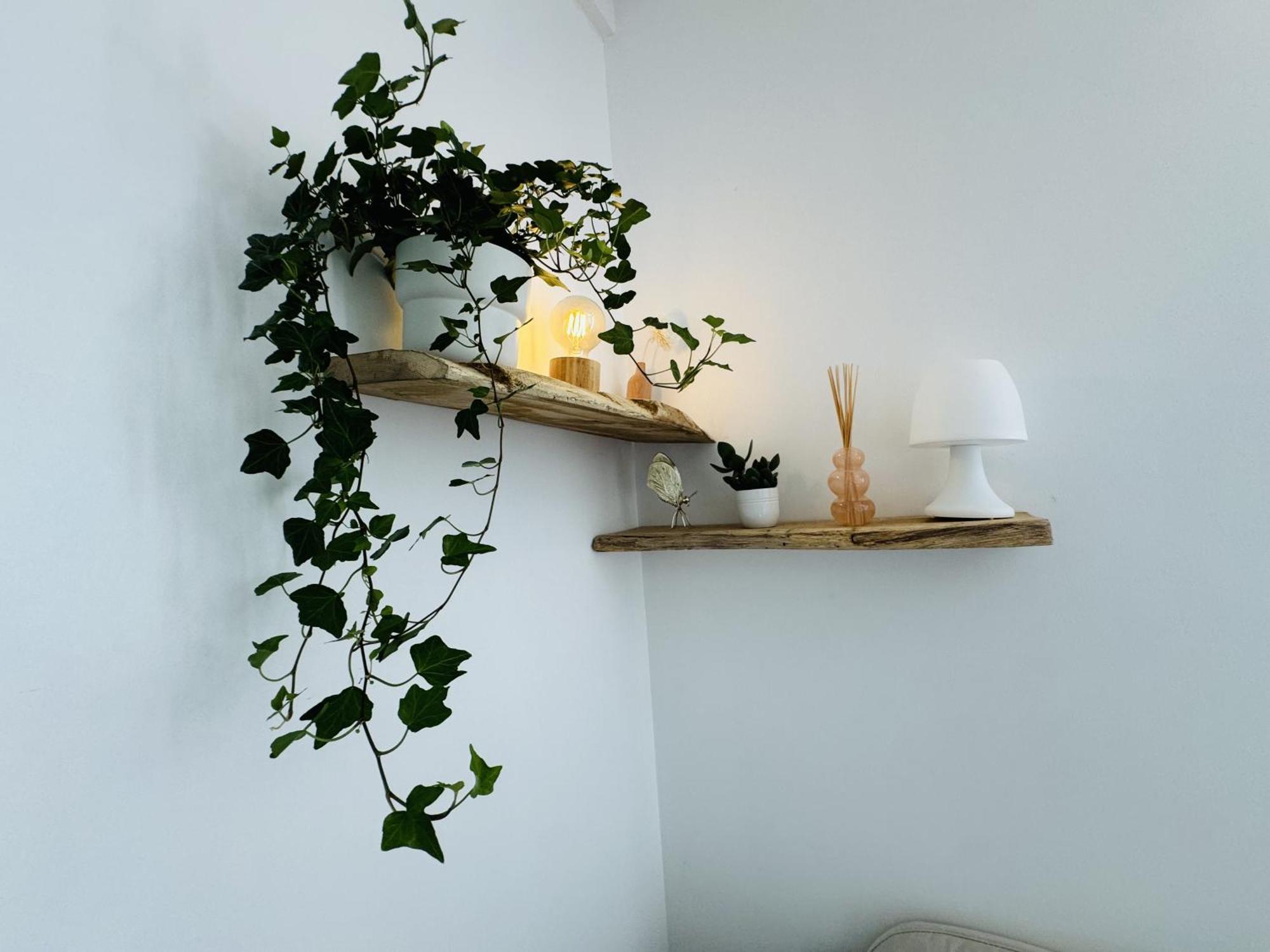 Le Piccolo - Appartement Cosy - Wifi Bègles Екстериор снимка